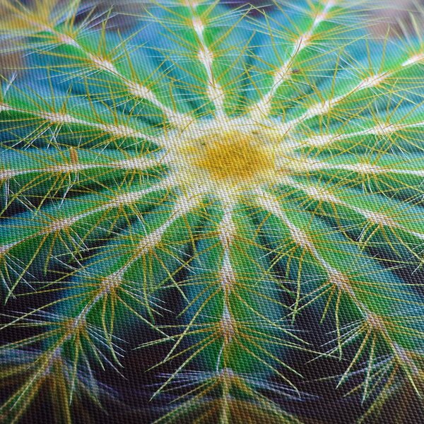 Slika kaktusa (120x50 cm)