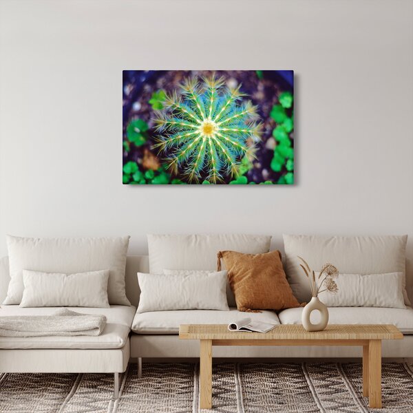 Slika kaktusa (90x60 cm)