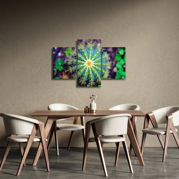 Slika kaktusa (90x60 cm)