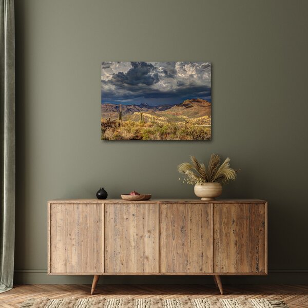 Slika - kaktusi u prirodi (70x50 cm)