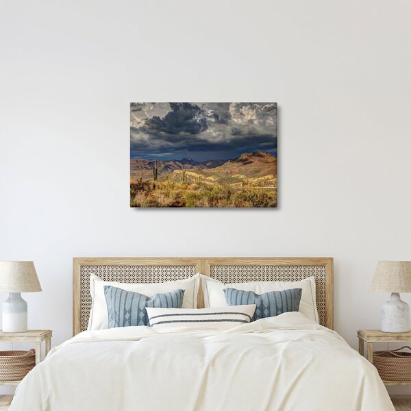 Slika - kaktusi u prirodi (70x50 cm)