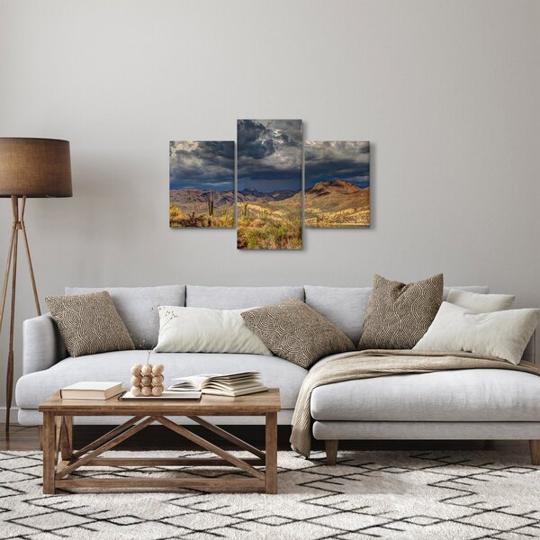 Slika - kaktusi u prirodi (90x60 cm)