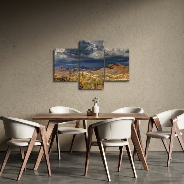 Slika - kaktusi u prirodi (90x60 cm)