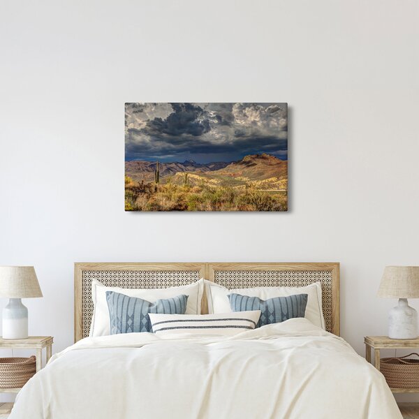 Slika - kaktusi u prirodi (90x60 cm)