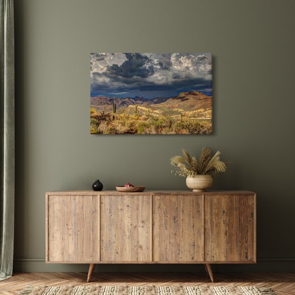 Slika - kaktusi u prirodi (90x60 cm)