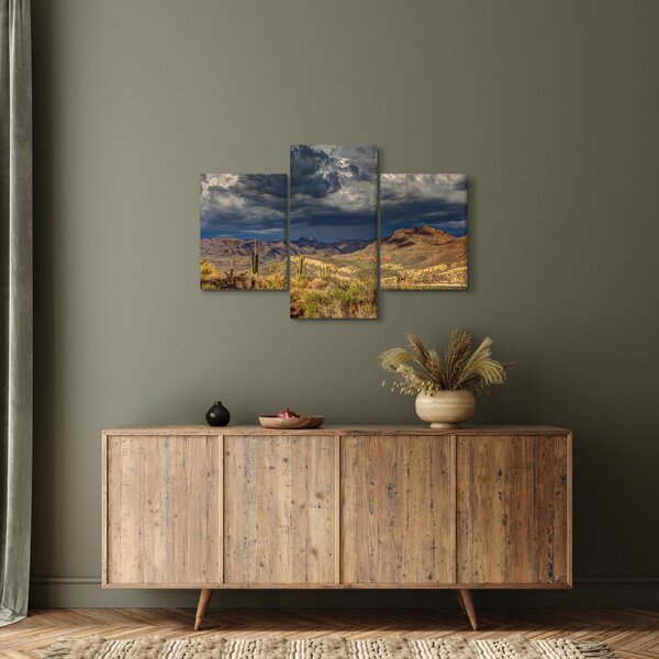 Slika - kaktusi u prirodi (90x60 cm)