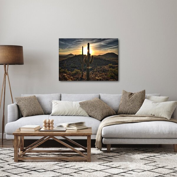 Slika - kaktusi na suncu (70x50 cm)