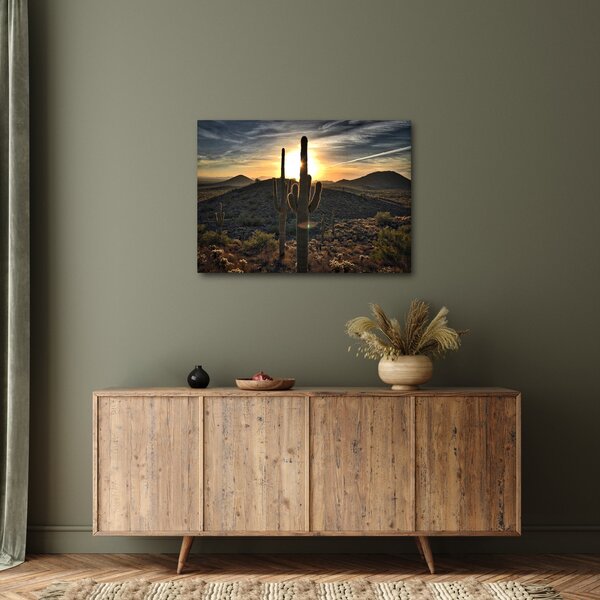 Slika - kaktusi na suncu (70x50 cm)