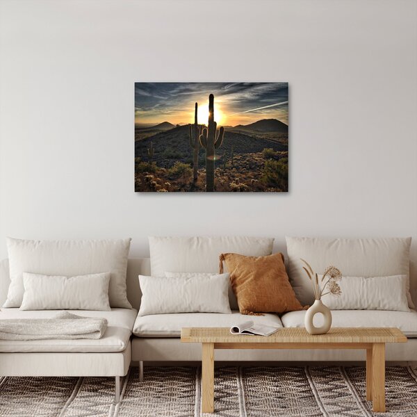 Slika - kaktusi na suncu (70x50 cm)