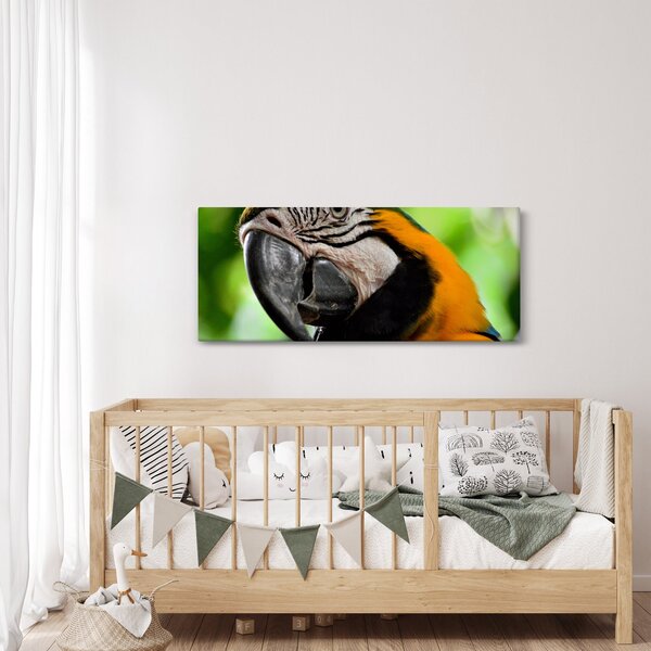Slika papige (120x50 cm)