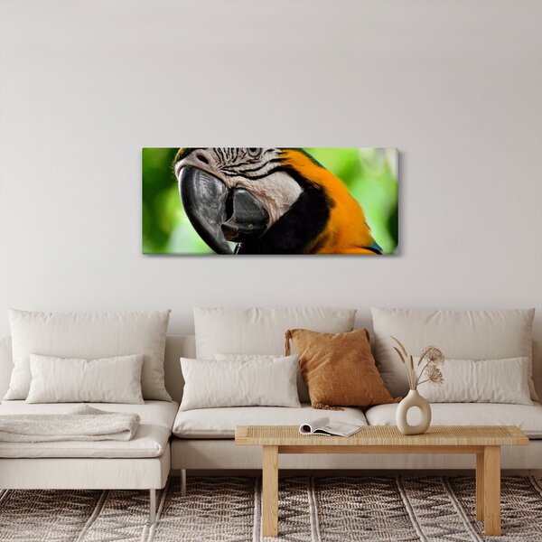 Slika papige (120x50 cm)