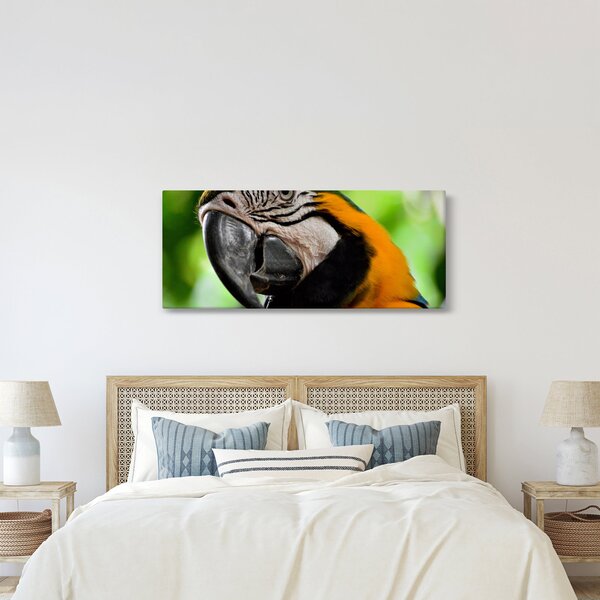 Slika papige (120x50 cm)