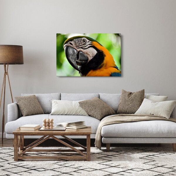 Slika papige (90x60 cm)