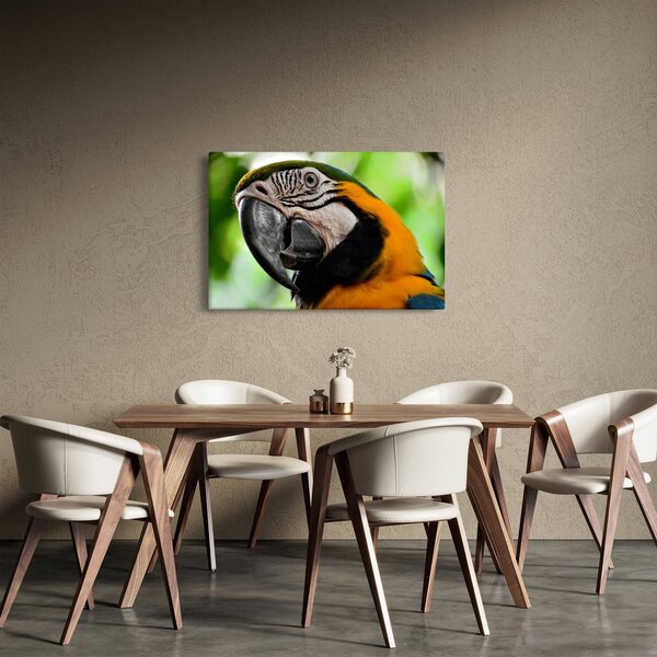 Slika papige (90x60 cm)