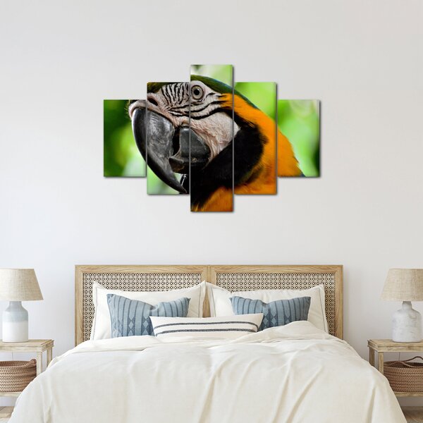 Slika papige (150x105 cm)