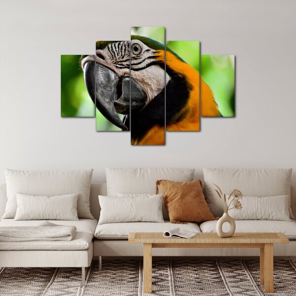 Slika papige (150x105 cm)