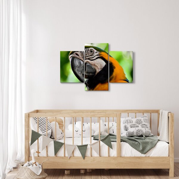 Slika papige (90x60 cm)