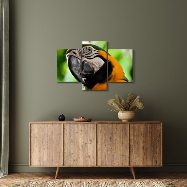 Slika papige (90x60 cm)