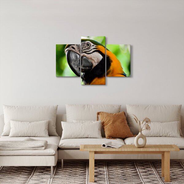 Slika papige (90x60 cm)