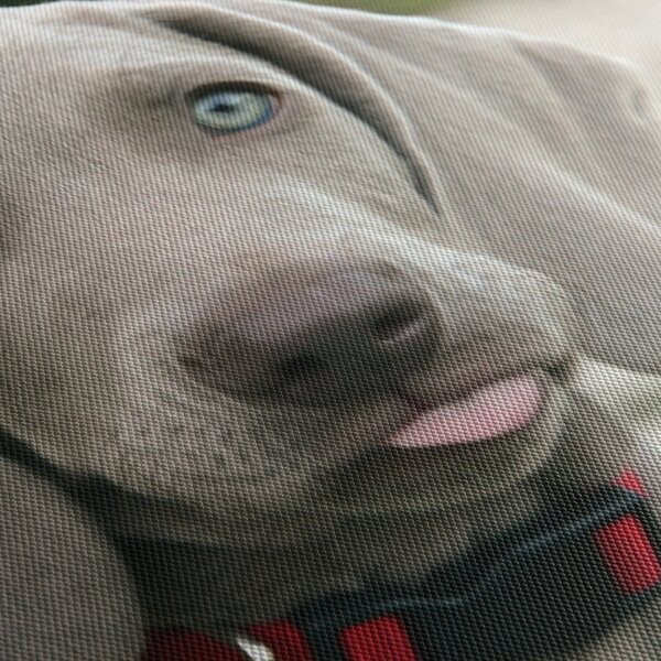 Slika - štene Weimaranera (sa satom) (90x30 cm)