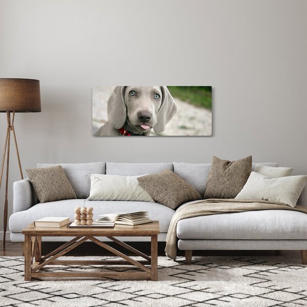 Slika - štene Weimaranera (120x50 cm)