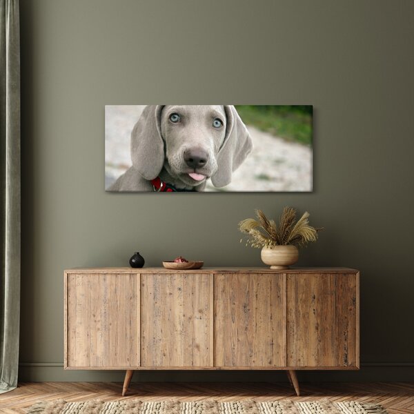 Slika - štene Weimaranera (120x50 cm)