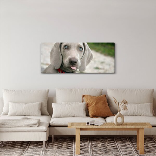 Slika - štene Weimaranera (120x50 cm)