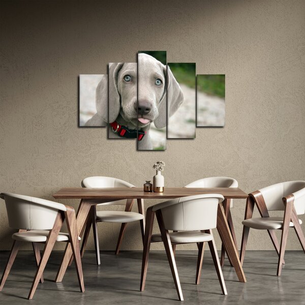 Slika - štene Weimaranera (150x105 cm)