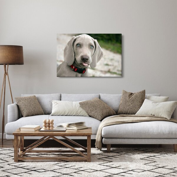 Slika - štene Weimaranera (90x60 cm)