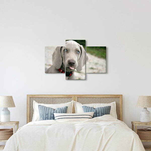 Slika - štene Weimaranera (90x60 cm)