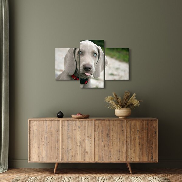 Slika - štene Weimaranera (90x60 cm)