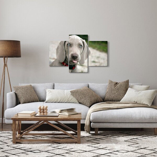 Slika - štene Weimaranera (90x60 cm)