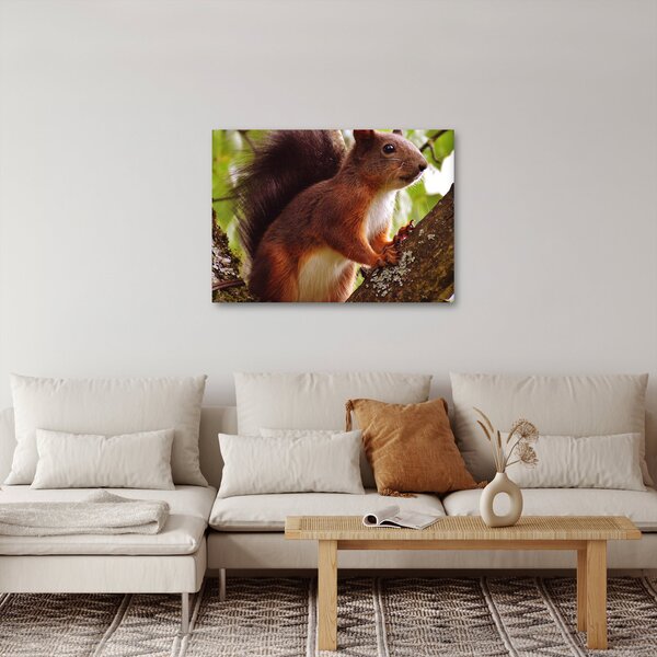Slika vjeverice (70x50 cm)