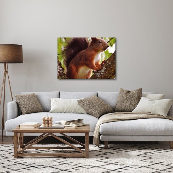 Slika vjeverice (70x50 cm)