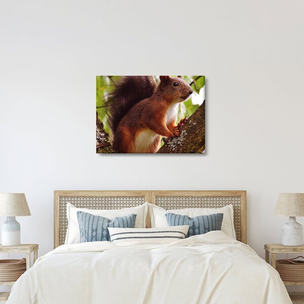 Slika vjeverice (70x50 cm)