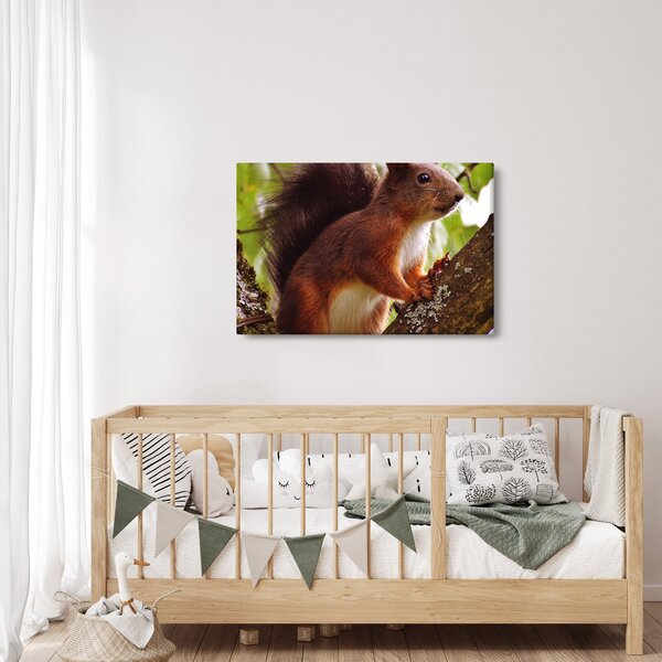 Slika vjeverice (90x60 cm)
