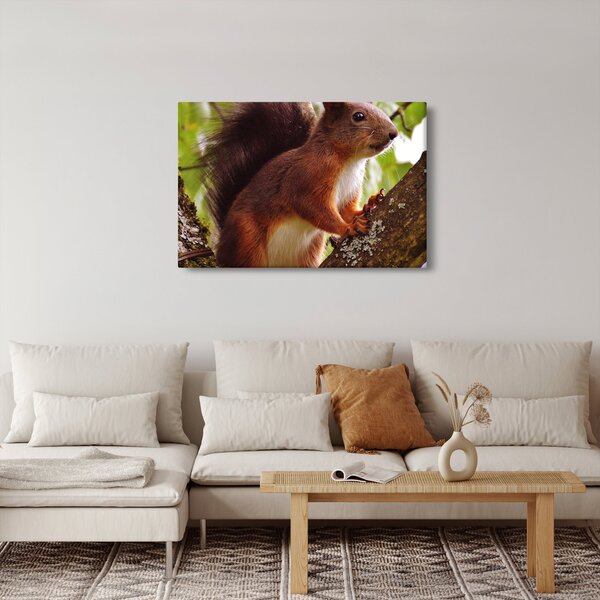 Slika vjeverice (90x60 cm)