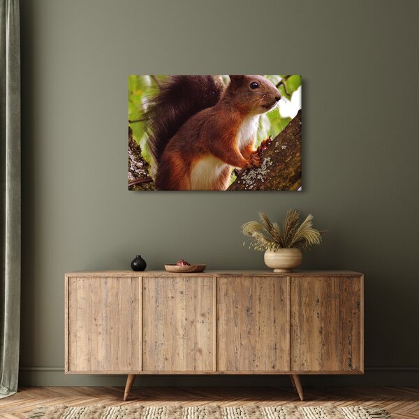 Slika vjeverice (90x60 cm)