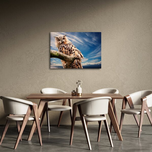 Slika sove (70x50 cm)
