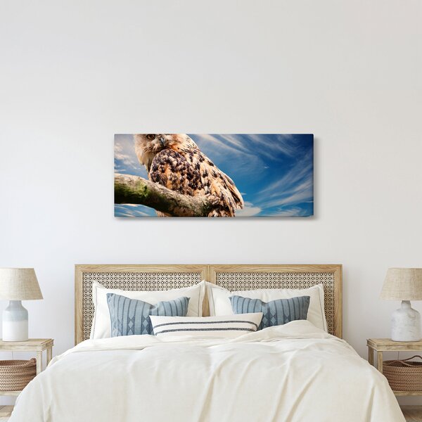 Slika sove (120x50 cm)
