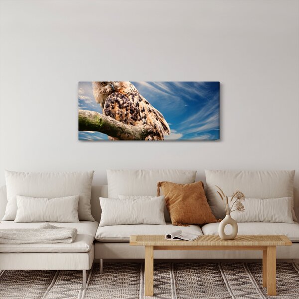 Slika sove (120x50 cm)