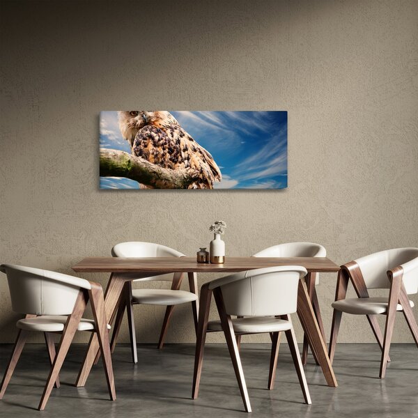 Slika sove (120x50 cm)