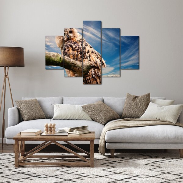 Slika sove (150x105 cm)