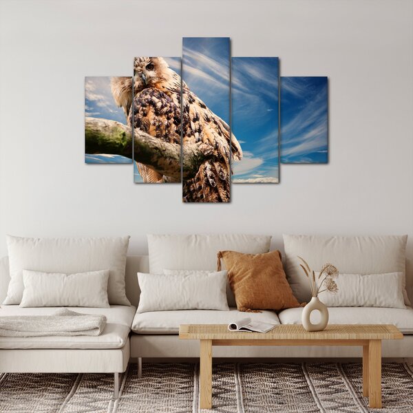 Slika sove (150x105 cm)