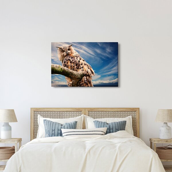 Slika sove (90x60 cm)