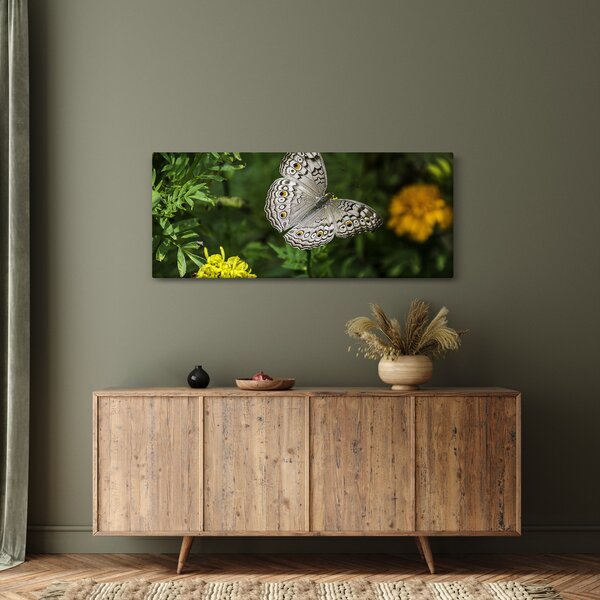 Slika - bijeli leptir (120x50 cm)