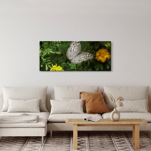 Slika - bijeli leptir (120x50 cm)