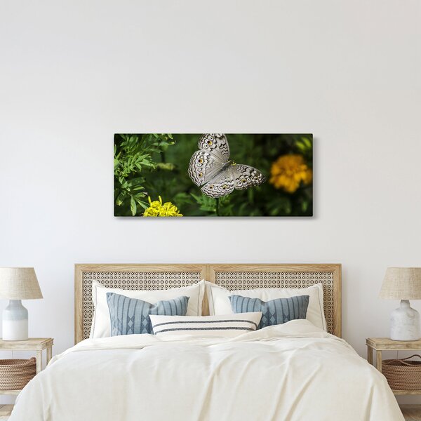 Slika - bijeli leptir (120x50 cm)