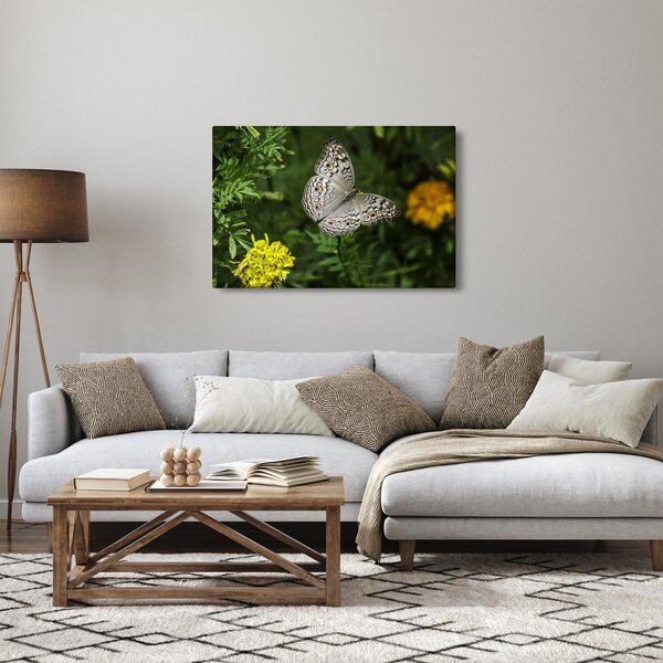Slika - bijeli leptir (90x60 cm)