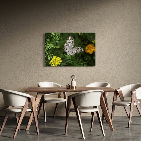 Slika - bijeli leptir (90x60 cm)